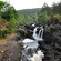 Un área de bosque con rocas y aguas rápidas